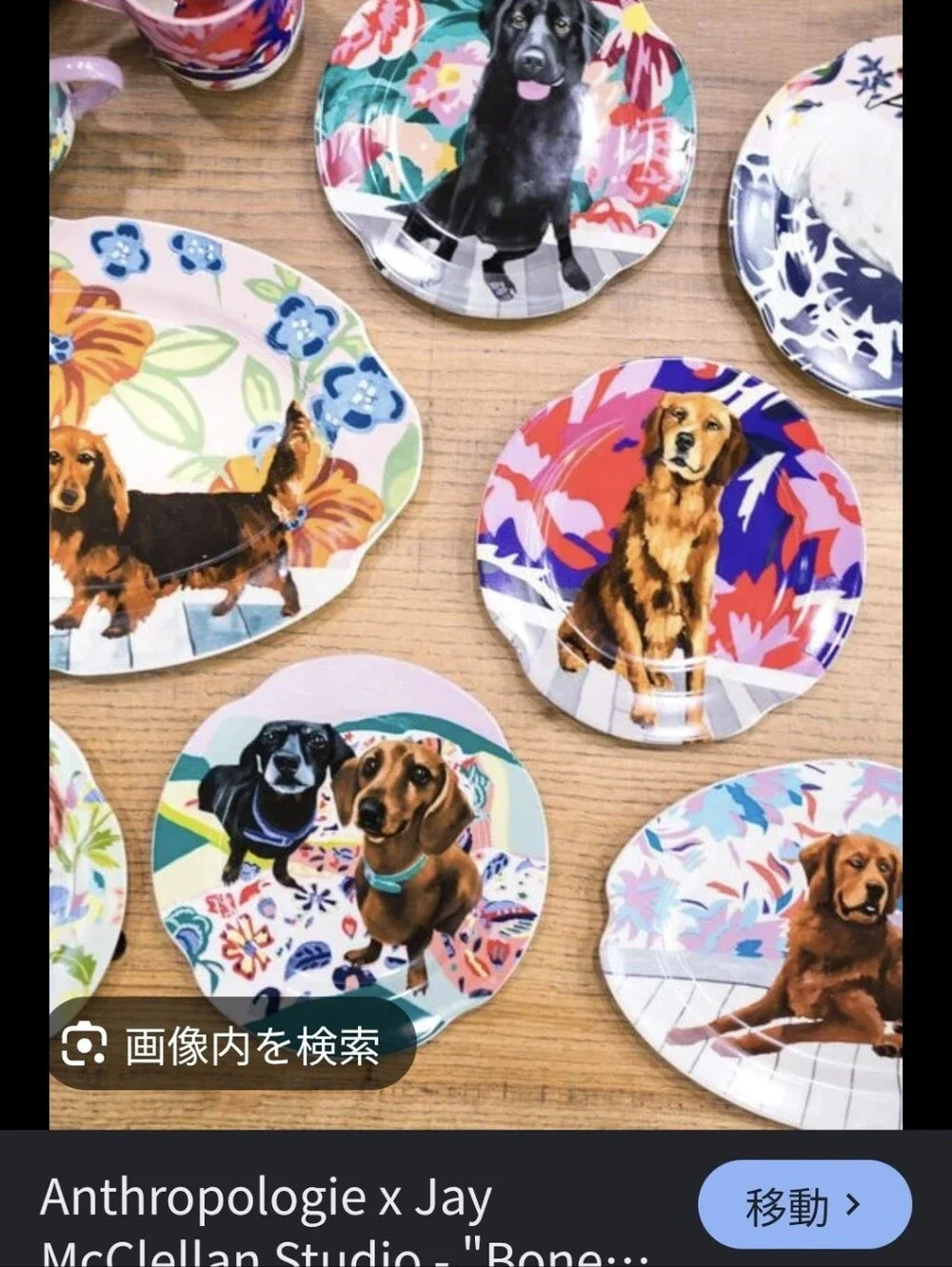 New! Anthropologie Plates Set